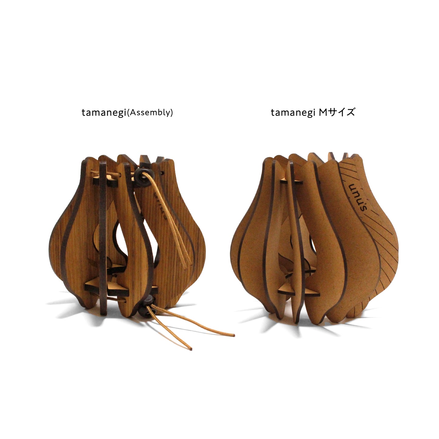 tamanegi | oak Assembly